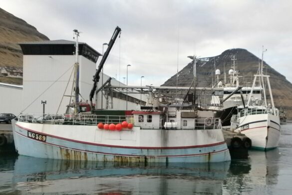 Fiskifrøðingarnir skilja ikki fiskin og Høgni trýr ikki uppá fiskifrøðingar.