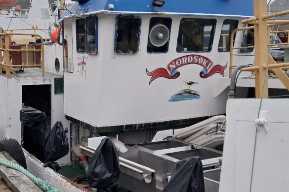 Fiskidagarnir aftir skornir