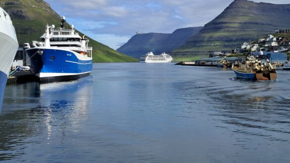 Prísurin á útfluttum makreli tvífaldaður