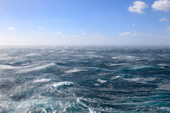 Tilgongdin av toski og hýsu á Landgrunninum og Føroyabanka ávirkast helst av havstreymum