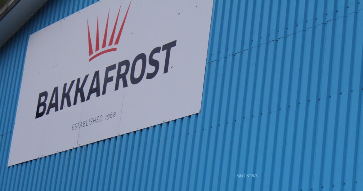 Bakkafrost rakt av telduálopi í átta tímar