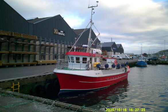 Dagarnir eru uppi hjá bólki 5B