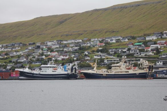 Skattatrýstið veksur