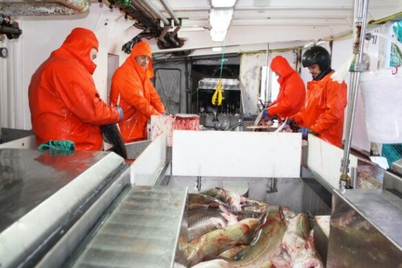 Ein fimtipartur av sjófólki hevur upplivað happing umborð