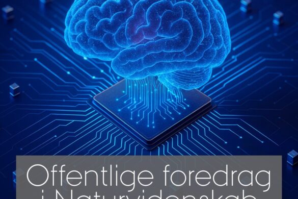 STROYMDUR FYRILESTUR: Vitlíki – frá IT til samfelag