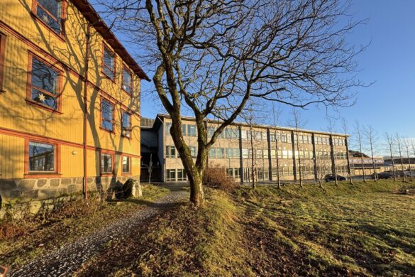 Heildarætlan fyri Tjóðsavnið í Hoydølum