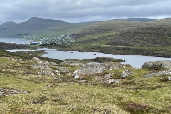 Nes kommuna hevur latið inn ferðavinnuætlanina