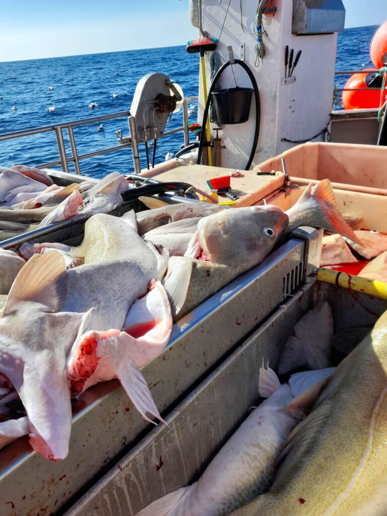 Framløgudagur um Fiskivinnuroyndir