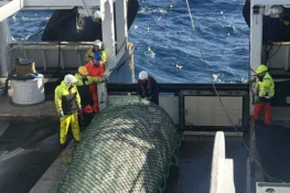 Minkandi nøgdir av toski á Føroyabanka, men framvegis nógv hýsa